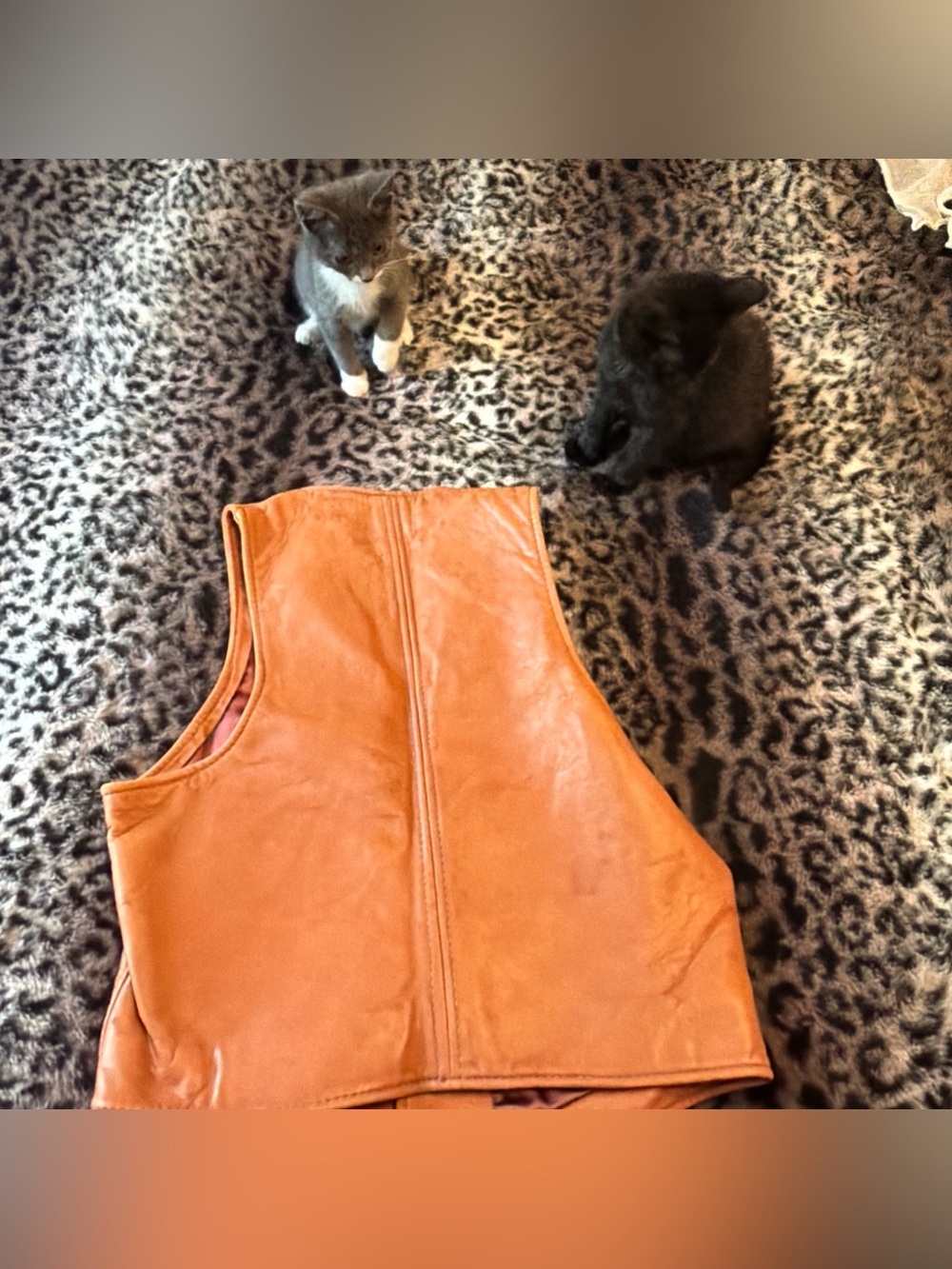 Brown Leather 5 Button Vest beautiful RARE Auburn SATIN lined Leather Vintage - Picture 5 of 14